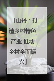山丹：打造乡村特色产业 推动乡村全面振兴