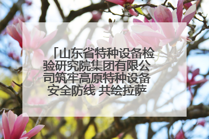 山东省特种设备检验研究院集团有限公司筑牢高原特种设备安全防线 共绘拉萨美好生活画卷