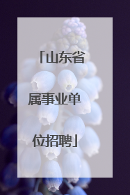 山东省属事业单位招聘