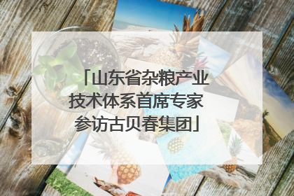 山东省杂粮产业技术体系首席专家参访古贝春集团