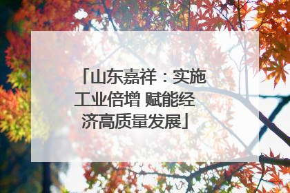 山东嘉祥：实施工业倍增 赋能经济高质量发展