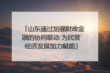 山东通过加强财政金融的协同联动 为民营经济发展加力赋能