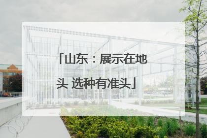 山东：展示在地头 选种有准头