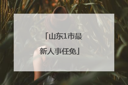 山东1市最新人事任免