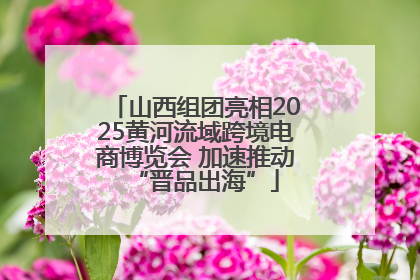 山西组团亮相2025黄河流域跨境电商博览会 加速推动“晋品出海”