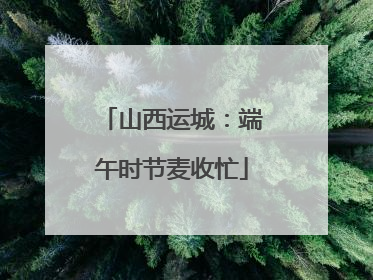 山西运城：端午时节麦收忙