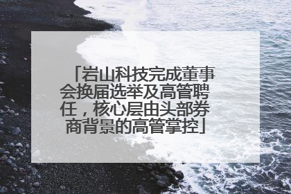 岩山科技完成董事会换届选举及高管聘任，核心层由头部券商背景的高管掌控
