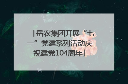岳农集团开展“七一”党建系列活动庆祝建党104周年