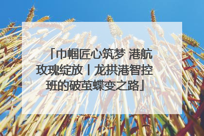 巾帼匠心筑梦 港航玫瑰绽放丨龙拱港智控班的破茧蝶变之路