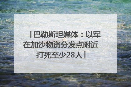巴勒斯坦媒体：以军在加沙物资分发点附近打死至少28人