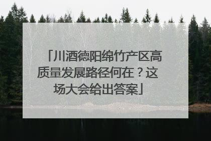 川酒德阳绵竹产区高质量发展路径何在？这场大会给出答案