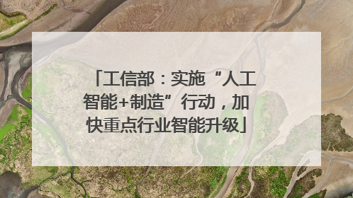 工信部：实施“人工智能+制造”行动，加快重点行业智能升级