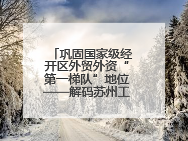 巩固国家级经开区外贸外资“第一梯队”地位——解码苏州工业园区样本