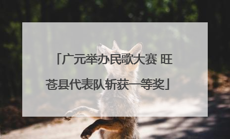 广元举办民歌大赛 旺苍县代表队斩获一等奖