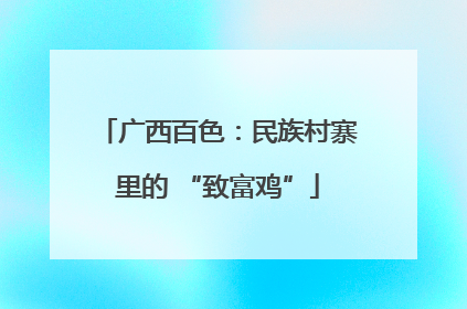 广西百色：民族村寨里的 “致富鸡”