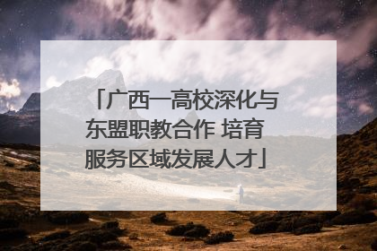 广西一高校深化与东盟职教合作 培育服务区域发展人才