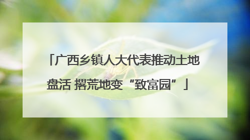 广西乡镇人大代表推动土地盘活 撂荒地变“致富园”