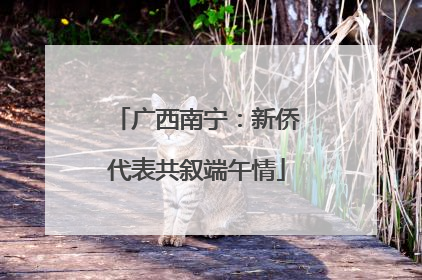 广西南宁：新侨代表共叙端午情