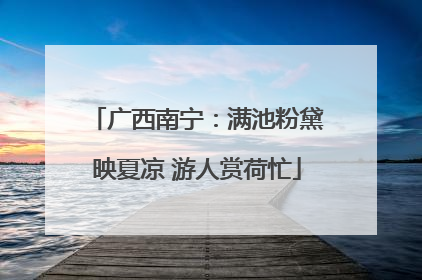 广西南宁：满池粉黛映夏凉 游人赏荷忙