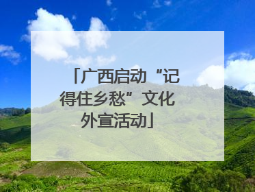 广西启动“记得住乡愁”文化外宣活动