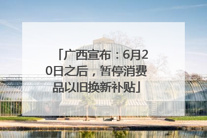 广西宣布：6月20日之后，暂停消费品以旧换新补贴