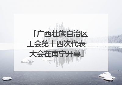 广西壮族自治区工会第十四次代表大会在南宁开幕