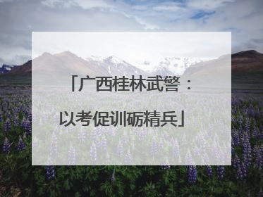 广西桂林武警：以考促训砺精兵