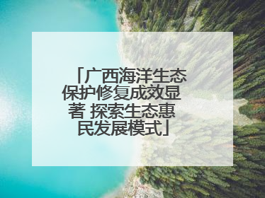 广西海洋生态保护修复成效显著 探索生态惠民发展模式