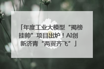 年度工业大模型“揭榜挂帅”项目出炉！AI创新济青“两翼齐飞”