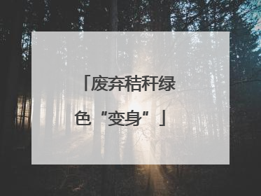 废弃秸秆绿色“变身”