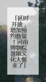 延时开放，增加预约数量！河南博物院暑期文化大餐来了