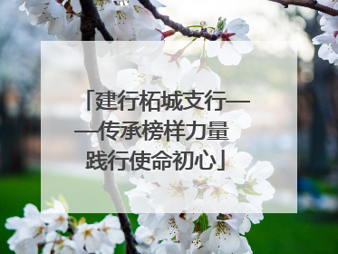 建行柘城支行——传承榜样力量 践行使命初心