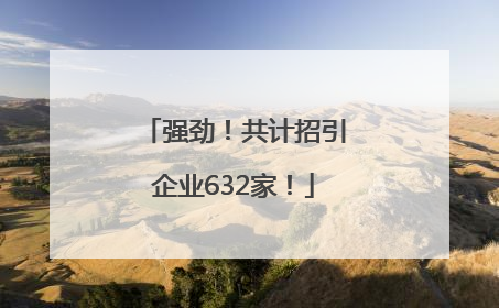 强劲！共计招引企业632家！