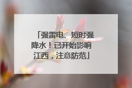强雷电、短时强降水！已开始影响江西，注意防范