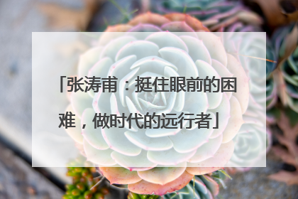 张涛甫：挺住眼前的困难，做时代的远行者
