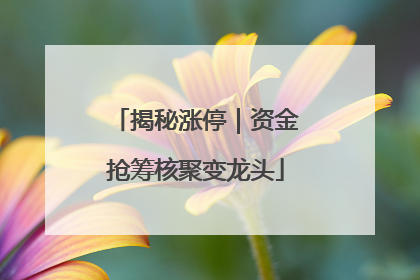 揭秘涨停｜资金抢筹核聚变龙头