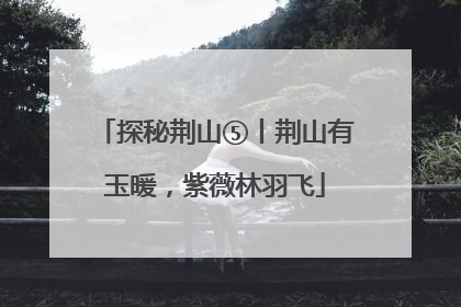 探秘荆山⑤丨荆山有玉暖，紫薇林羽飞