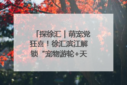 探徐汇｜萌宠党狂喜！徐汇滨江解锁“宠物游轮+天台乐园”双玩法