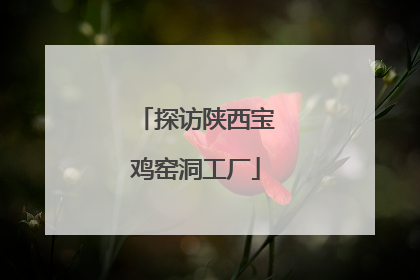 探访陕西宝鸡窑洞工厂