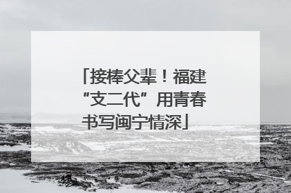 接棒父辈！福建“支二代”用青春书写闽宁情深