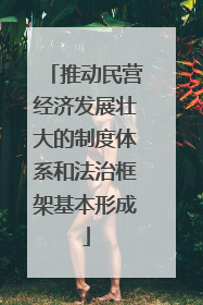 推动民营经济发展壮大的制度体系和法治框架基本形成