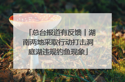 总台报道有反馈丨湖南两地采取行动打击洞庭湖违规钓鱼现象