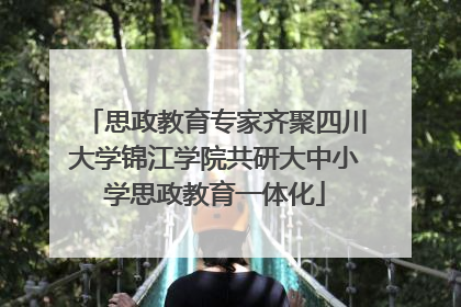 思政教育专家齐聚四川大学锦江学院共研大中小学思政教育一体化