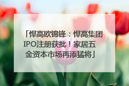 悍高欧锦锋：悍高集团IPO注册获批！家居五金资本市场再添猛将
