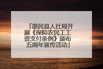 惠民县人社局开展《保障农民工工资支付条例》颁布五周年宣传活动