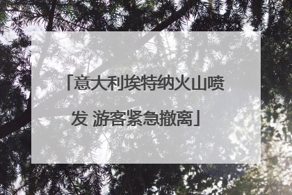 意大利埃特纳火山喷发 游客紧急撤离