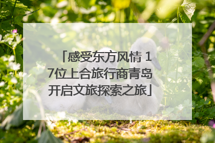 感受东方风情 17位上合旅行商青岛开启文旅探索之旅