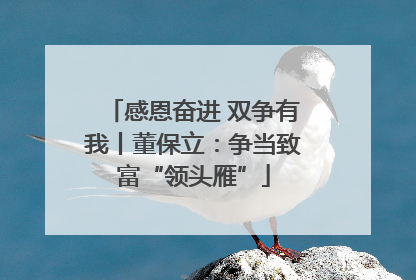 感恩奋进 双争有我丨董保立：争当致富“领头雁”