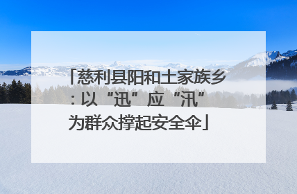 慈利县阳和土家族乡：以“迅”应“汛” 为群众撑起安全伞