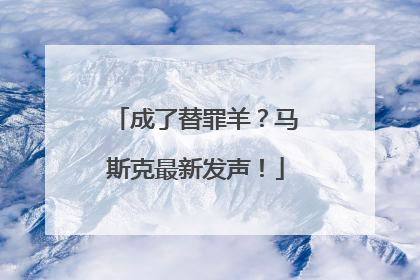 成了替罪羊？马斯克最新发声！